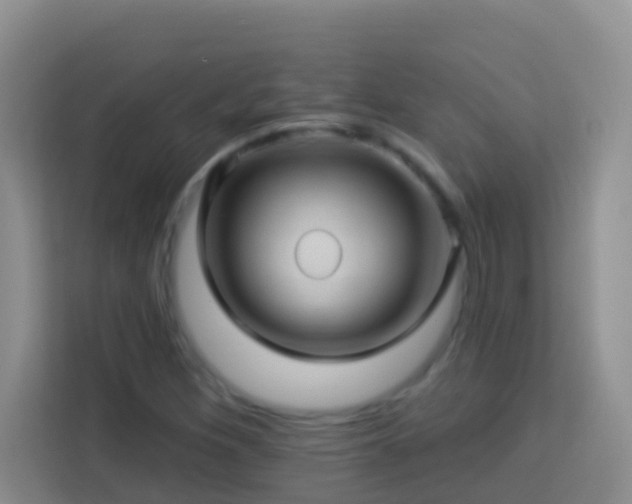 X0000114101260200910051438