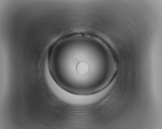 X0000114101261200910051438