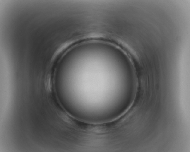 X0000114101262200910051438