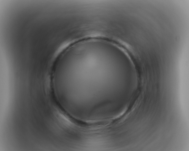 X0000114101263200910051438