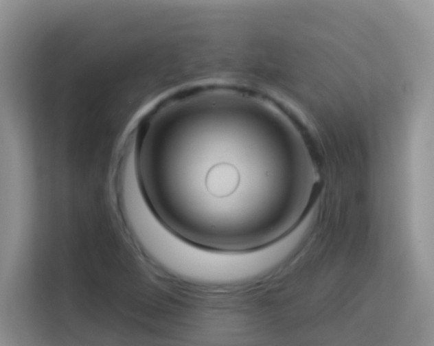 X0000114101264200910051438