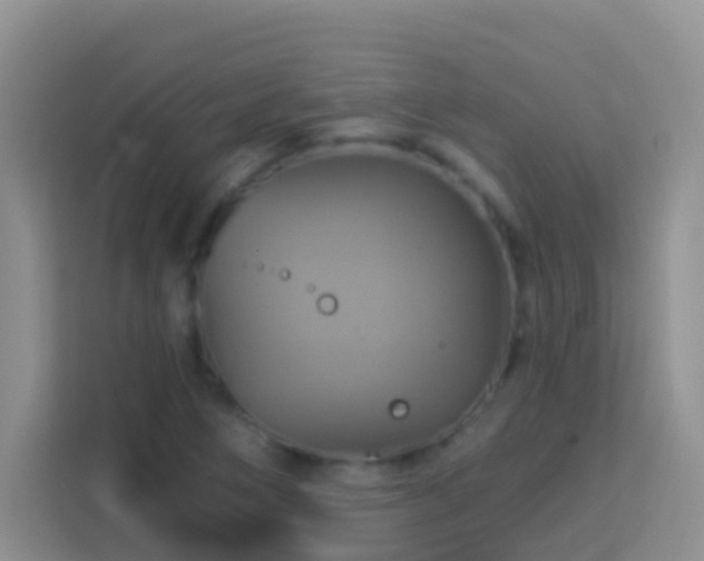 X0000114101266200910051438