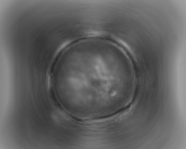 X0000114101267200910051438