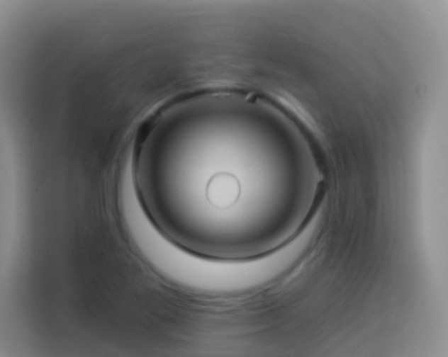 X0000114101269200910051438