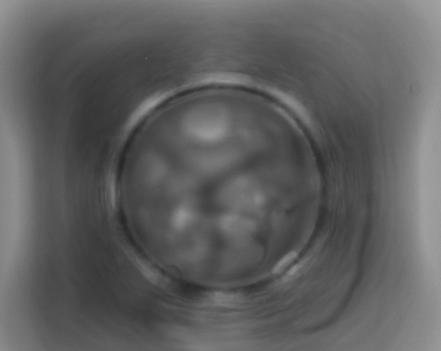 X0000114101271200910051438