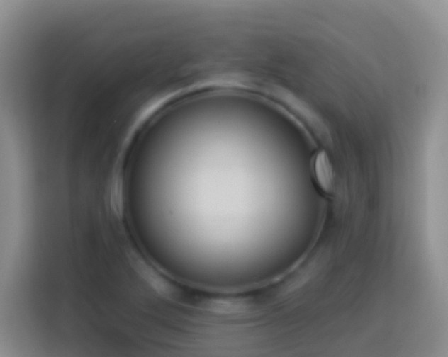 X0000114101272200910051438