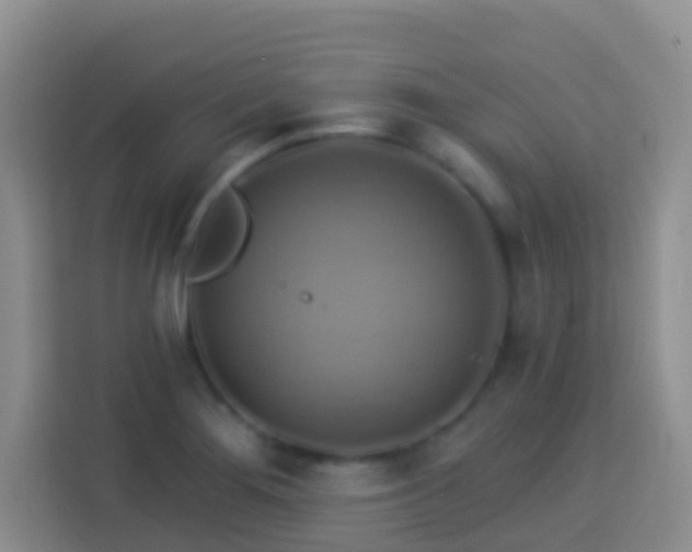 X0000114101276200910051438