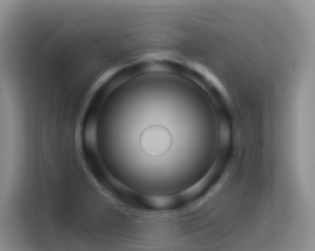 X0000114101277200910051438