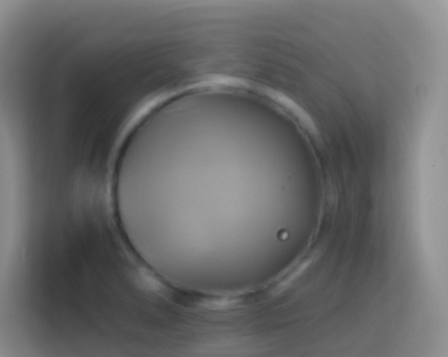 X0000114101278200910051438