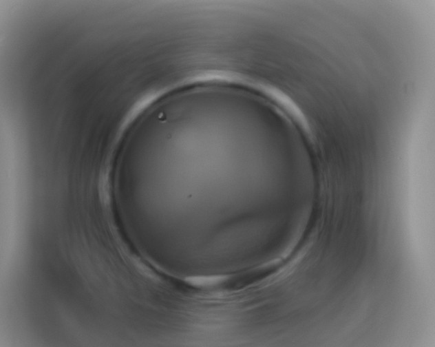 X0000114101279200910051438