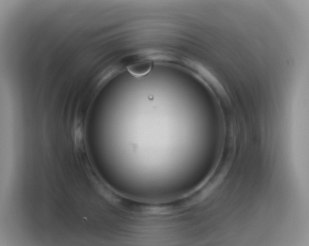 X0000114101281200910051438