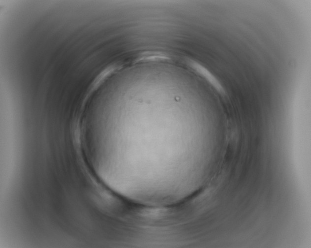 X0000114101282200910051438