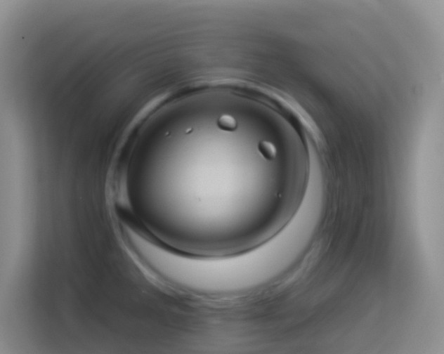 X0000114101285200910051438