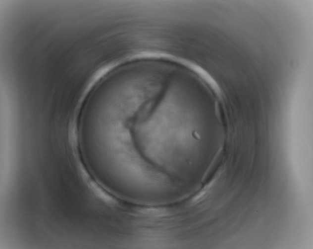 X0000114101287200910051438