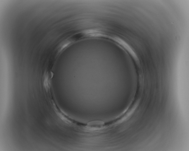 X0000114101289200910051438