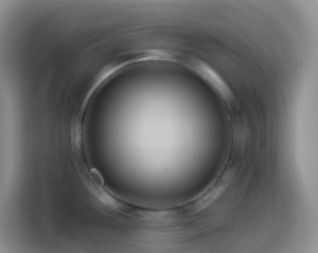 X0000114101292200910051437