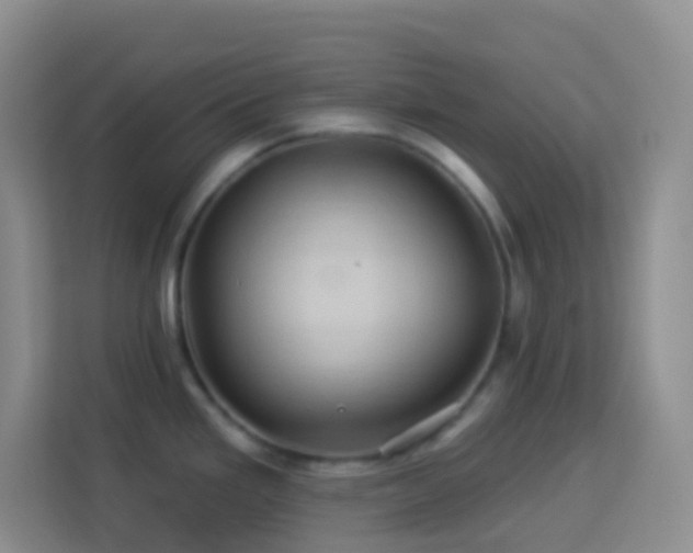 X0000114101293200910051437