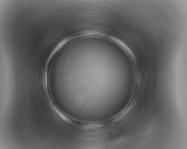 X0000114101294200910051437