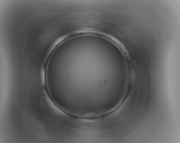 X0000114101295200910051437