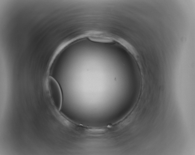 X0000114101296200910051437