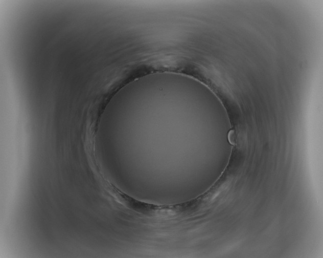 X0000114101297200910051437