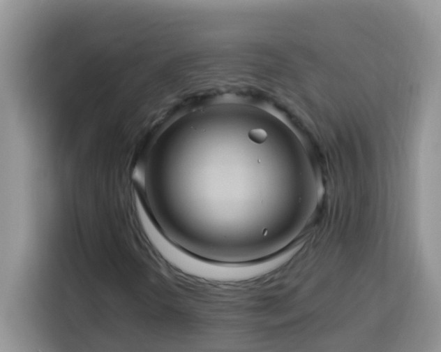 X0000114101298200910051437