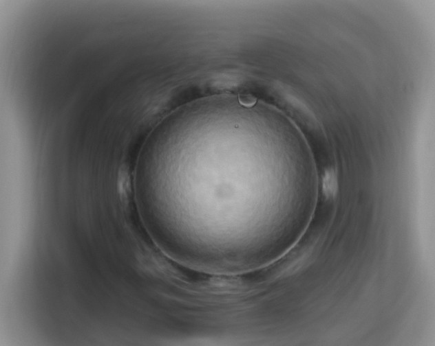 X0000114101299200910051437