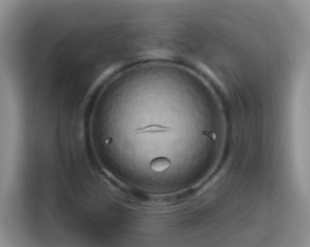 X0000114101307200910051437