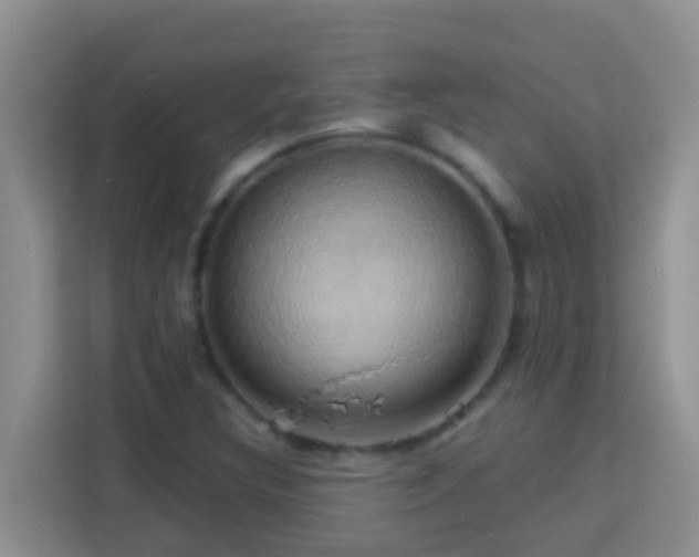 X0000114101308200910051437