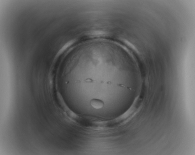 X0000114101309200910051437