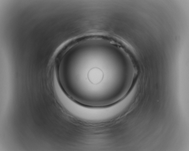 X0000114101310200910051437