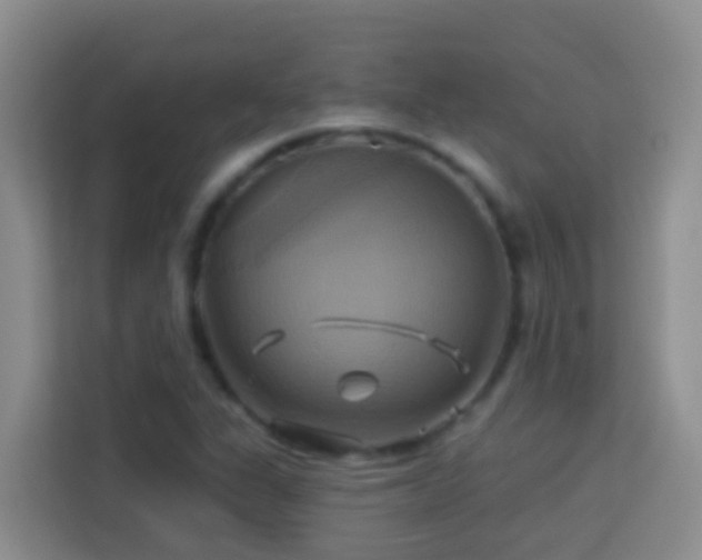 X0000114101311200910051437