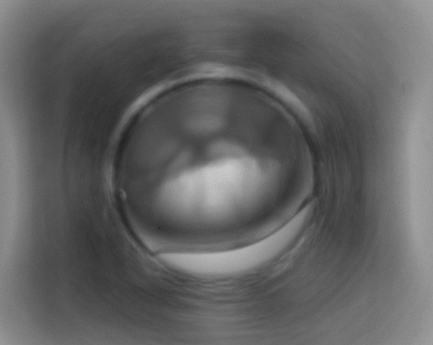 X0000114101318200910051437