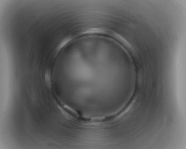 X0000114101321200910051437