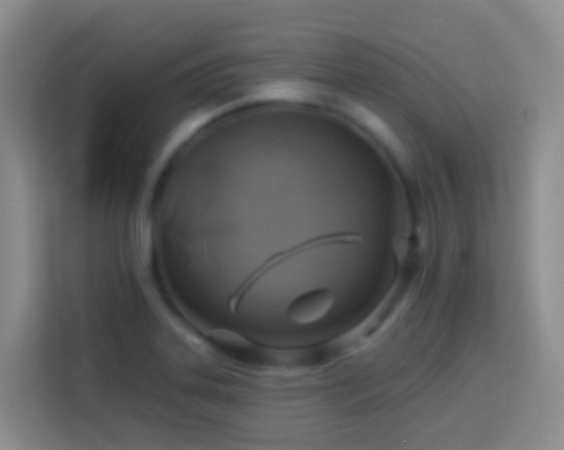 X0000114101323200910051437