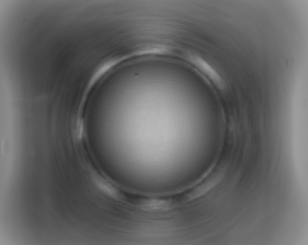 X0000114101324200910051437