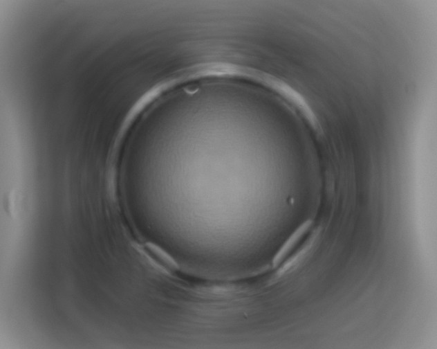 X0000114101326200910051437