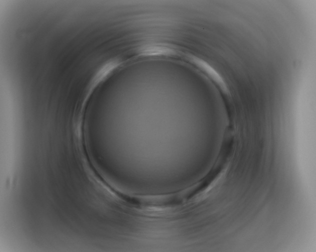 X0000114101330200910051437