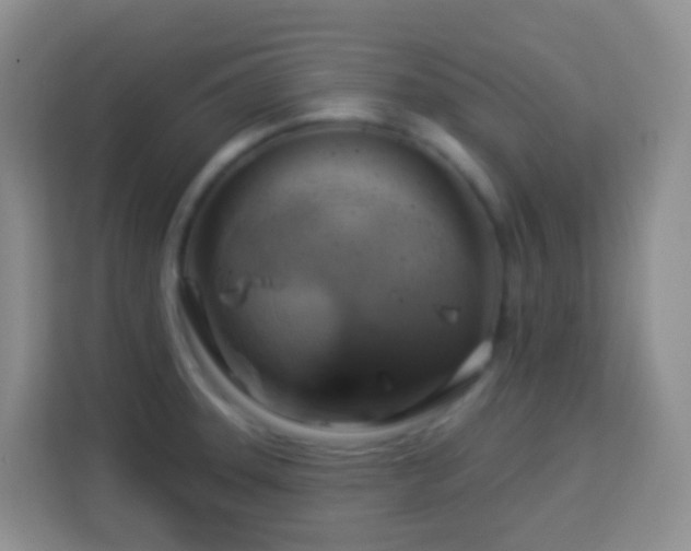 X0000114101331200910051437