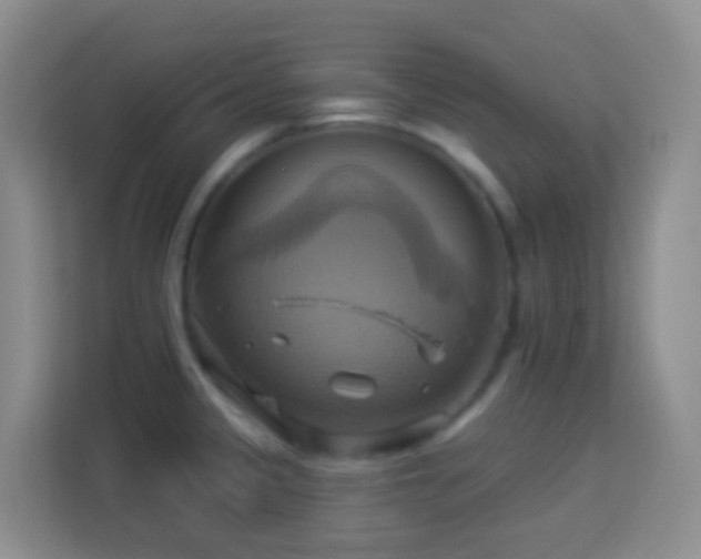 X0000114101333200910051437