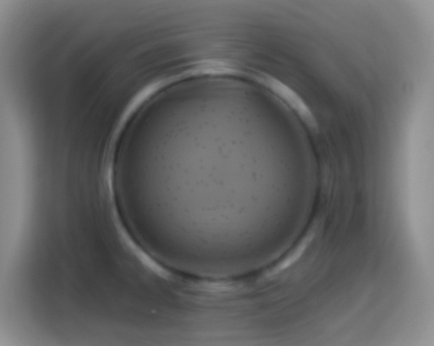 X0000114101334200910051437