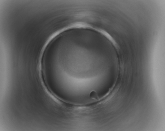 X0000114101335200910051437