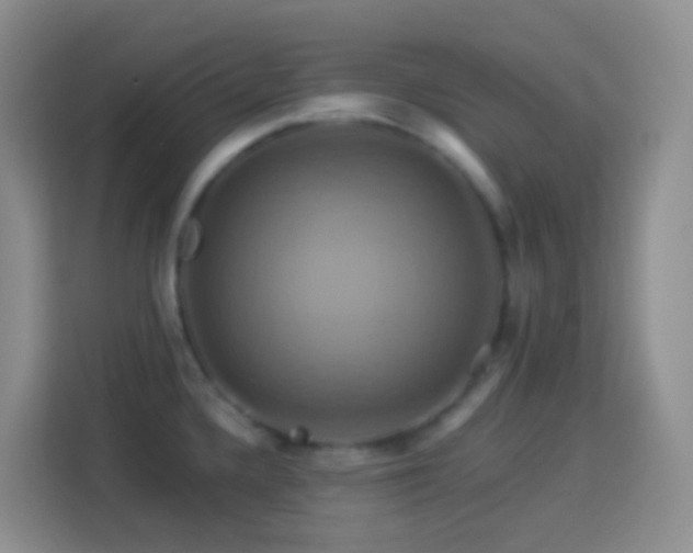 X0000114101336200910051437