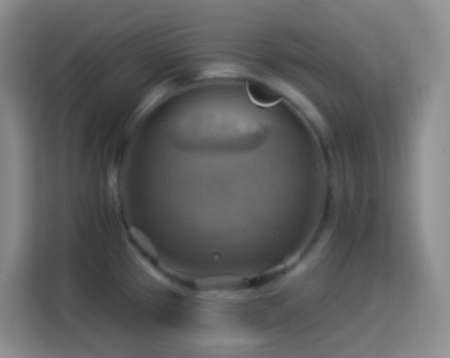 X0000114101337200910051437