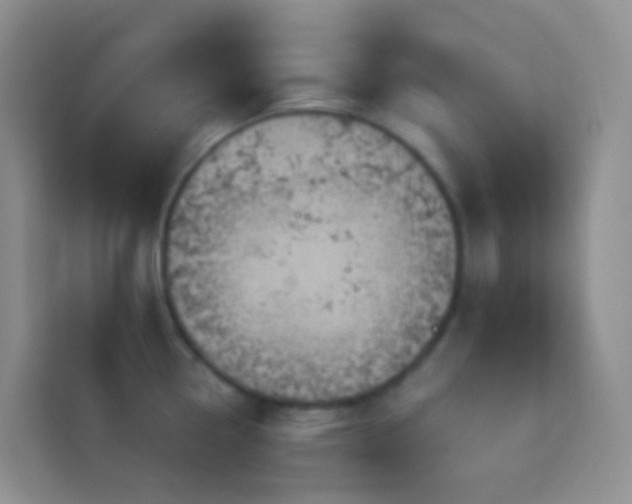 X0000114101338200910051437