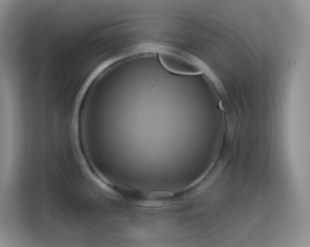 X0000114101339200910051437