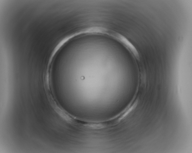 X0000114101340200910051437