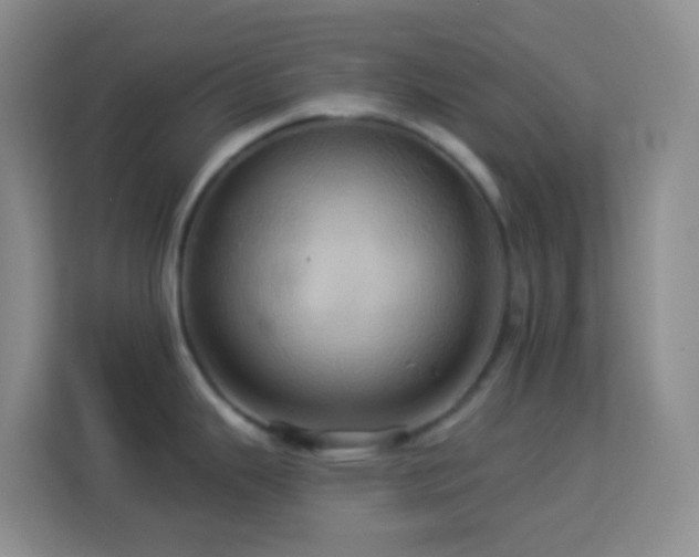 X0000114101343200910051437