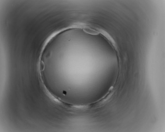 X0000114101344200910051437