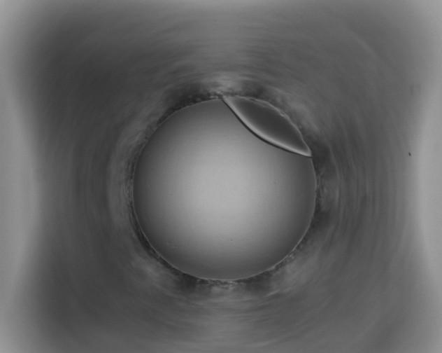 X0000114101345200910051437